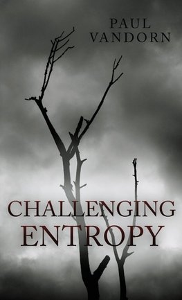 Challenging Entropy