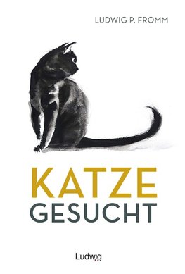 Katze gesucht