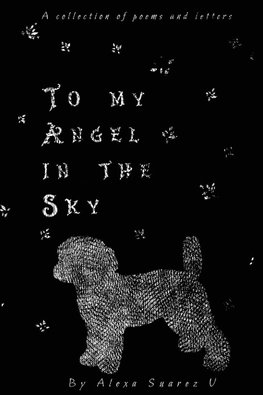 To My Angel In The Sky