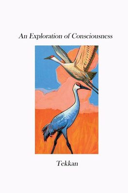 An Exploration of Consciousness V