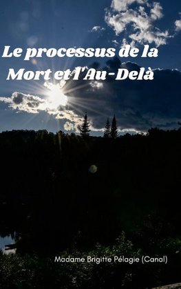 LE PROCESSUS DE LA MORT ET L'AU-DELÀ (couverture rigide)