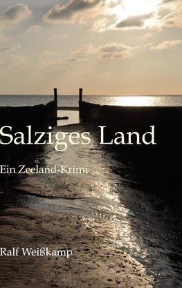 Salziges Land