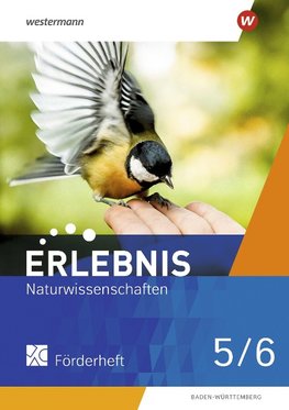 Erlebnis BNT Naturphänomene & Technik 5 / 6. Förderheft. Für Baden-Württemberg