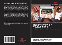 HOLISTIC VIEW OF TELEWORKING