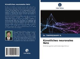 Künstliches neuronales Netz