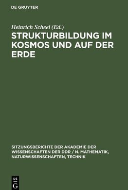 Strukturbildung im Kosmos und auf der Erde