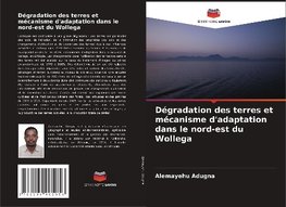 Dégradation des terres et mécanisme d'adaptation dans le nord-est du Wollega