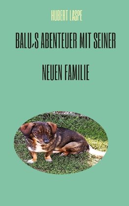 Balu´s Abenteuer mit seiner neuen Familie