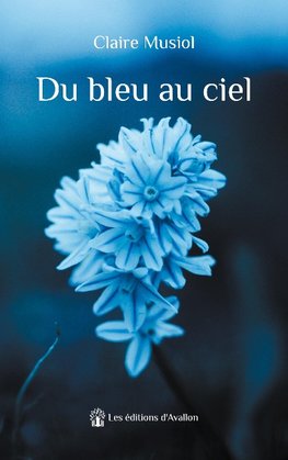 Du bleu au ciel