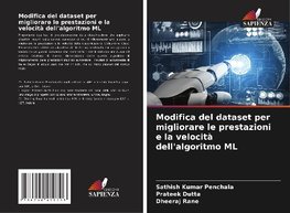 Modifica del dataset per migliorare le prestazioni e la velocità dell'algoritmo ML