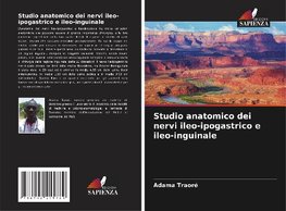 Studio anatomico dei nervi ileo-ipogastrico e ileo-inguinale