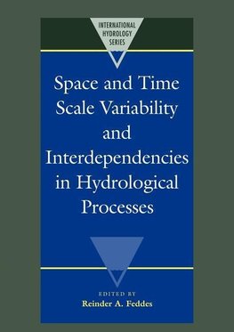 Space and Time Scale Variability and Interdependencies in Hydrological Processes