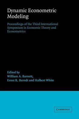 Dynamic Econometric Modeling