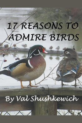 17 Reasons to Admire Birds