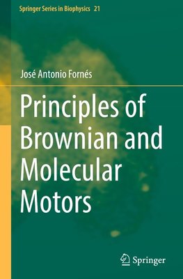 Principles of Brownian and Molecular Motors