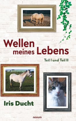 Wellen meines Lebens