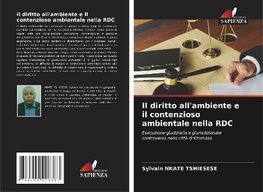 Il diritto all'ambiente e il contenzioso ambientale nella RDC