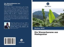 Die Wasserbanane aus Madagaskar