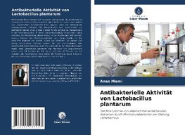 Antibakterielle Aktivität von Lactobacillus plantarum