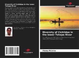 Diversity of Cichlidae in the lower Tshopo River