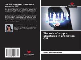 The role of support structures in promoting CSR