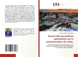 Impact des paramètres opératoires sur la consommation du smbs.