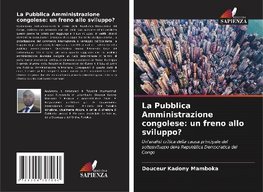 La Pubblica Amministrazione congolese: un freno allo sviluppo?