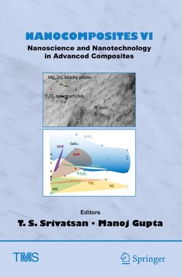 Nanocomposites VI: Nanoscience and Nanotechnology in Advanced Composites