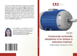 Commande vectorielle adaptative d'un moteur à induction triphasé