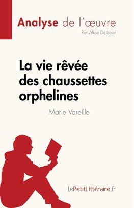 La vie rêvée des chaussettes orphelines de Marie Vareille (Analyse de l'oeuvre)