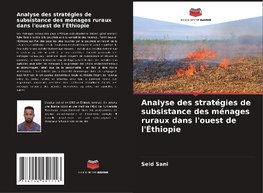 Analyse des stratégies de subsistance des ménages ruraux dans l'ouest de l'Éthiopie