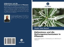 Kältestress und die Rettungsmechanismen in Pflanzen