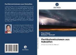 Partikelemissionen aus Koksöfen