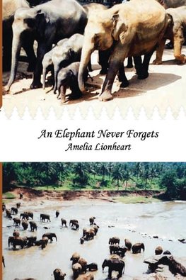 An Elephant Never Forgets