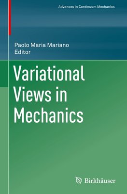 Variational Views in Mechanics