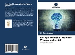 Energieeffizienz, Welcher Weg zu gehen ist