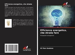 Efficienza energetica, che strada fare