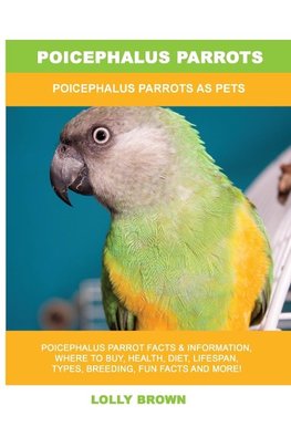 Poicephalus Parrots