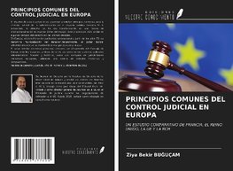 PRINCIPIOS COMUNES DEL CONTROL JUDICIAL EN EUROPA