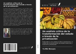 Un análisis crítico de la transformación del estado a través de la privatización