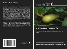 Cultivo de calabacín