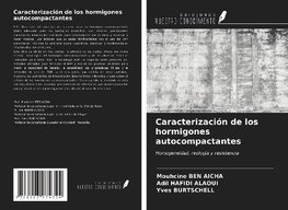 Caracterización de los hormigones autocompactantes