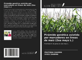 Pirámide genética asistida por marcadores en líneas de maíz (Zea mays L.)