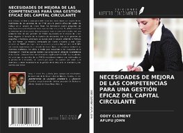 NECESIDADES DE MEJORA DE LAS COMPETENCIAS PARA UNA GESTIÓN EFICAZ DEL CAPITAL CIRCULANTE