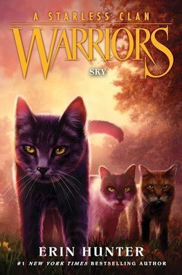 Warriors: A Starless Clan 02: Sky