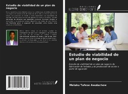 Estudio de viabilidad de un plan de negocio