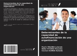 Determinantes de la capacidad de autofinanciación de una organización