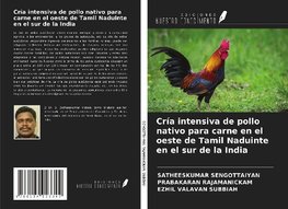 Cría intensiva de pollo nativo para carne en el oeste de Tamil Naduinte en el sur de la India