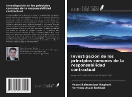 Investigación de los principios comunes de la responsabilidad contractual