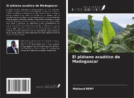 El plátano acuático de Madagascar